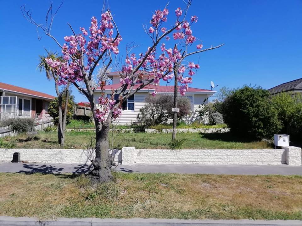 Homestay Family Room, Near The City Center 基督城 外观 照片